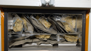 Eat Like an Astronaut with NASA's Recipe for Cornbread Dressing